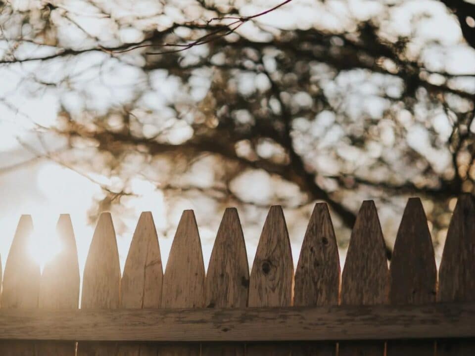 imgi 7 photo 1585811284199 23d1d44e40f9 1920w